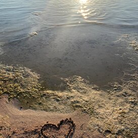 Love the sea Mare a Monte Cofano Love the sea Mare a Monte Cofano