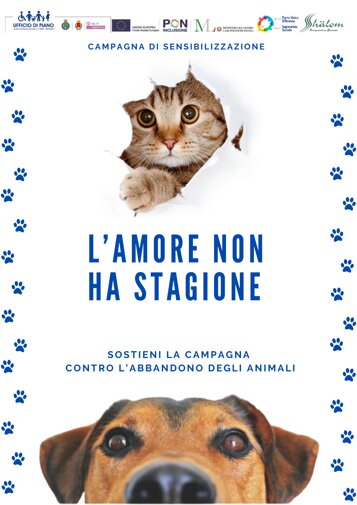 3acb4897-900a-4d63-91e8-89a69871afd8