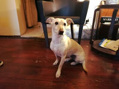 a718ad32-f474-4228-a37d-1f6f7c924fb6