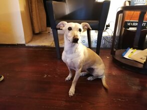 e5d0fa1b-b057-4e30-bf8c-ad7782d7875f