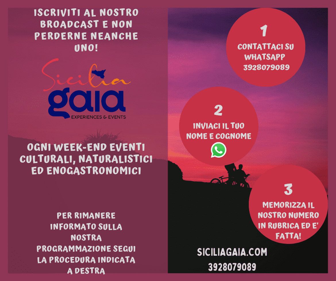 b2fa8029-dc19-4d03-a70e-adadfdcd1662