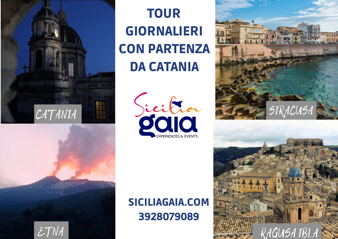 b5667a64-91e9-41c9-8934-b611693df15d