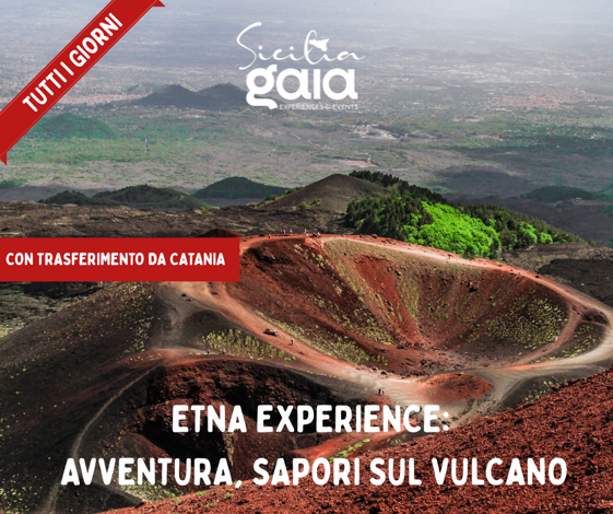 dfcc84bd-69f0-486b-a3a2-183f92e2cddc