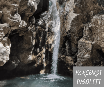 1d310aee-b000-409b-8dd7-66d3e7958c12