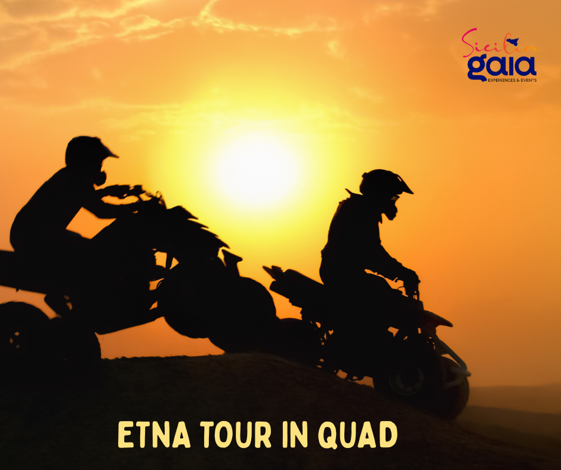 695857a5-ff27-47f3-a674-249e481be913