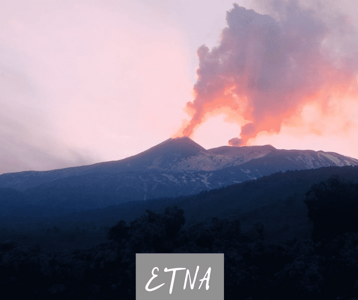 9fce8964-52db-4e1d-8ce2-540066b3dae2