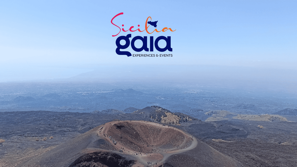 a921f9a8-573f-4662-a9e9-4a2c358944f2