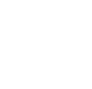 smat_white_small (2)