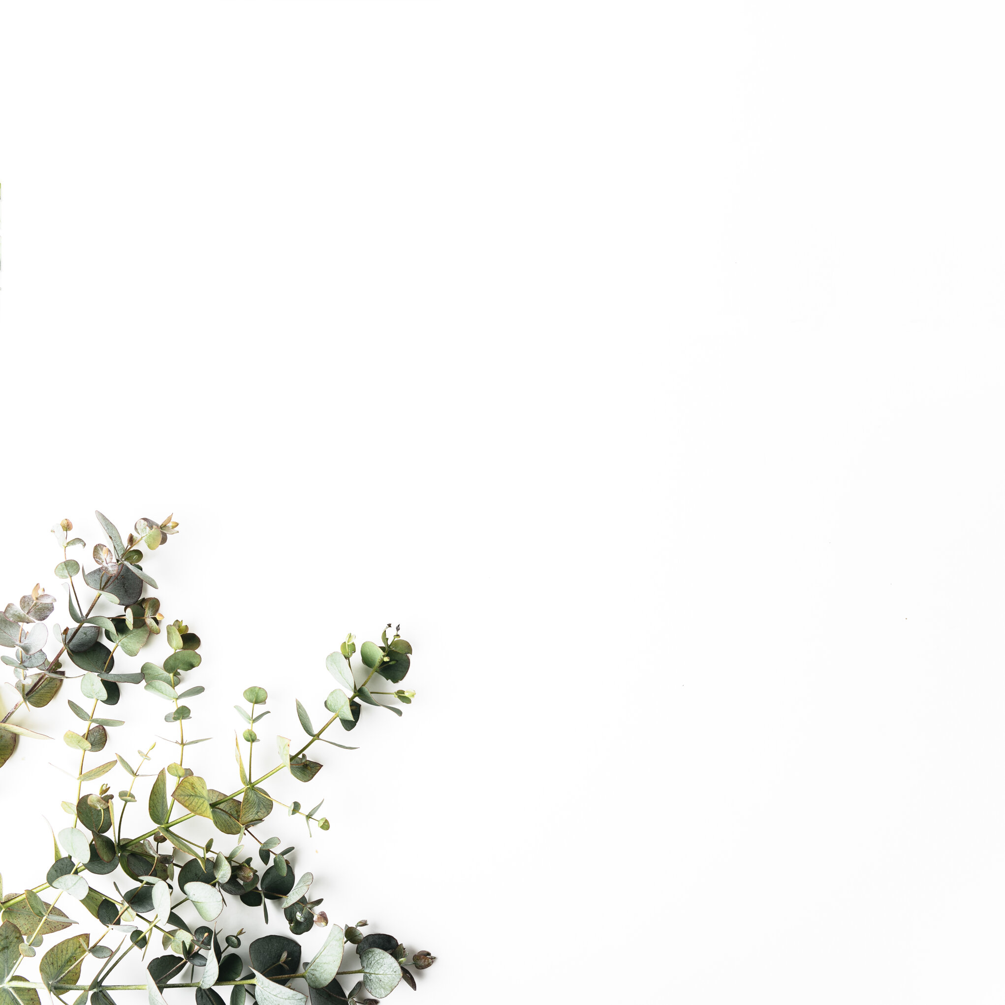 1707f176-f071-4c01-9824-ebbca5a6afc9 1707f176-f071-4c01-9824-ebbca5a6afc9