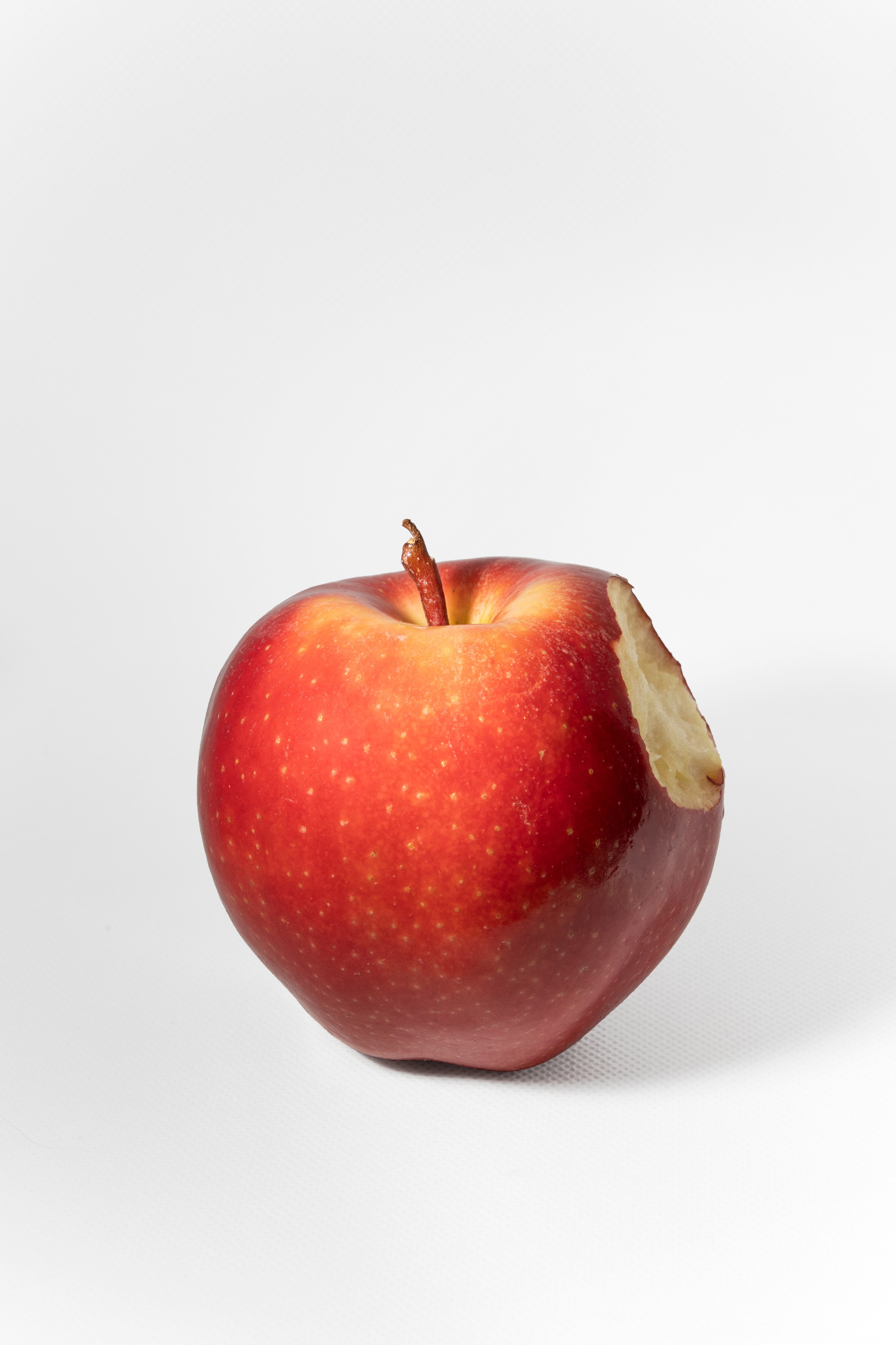 MIMIT: Bando Marchi+ MIMIT: Bando Marchi+