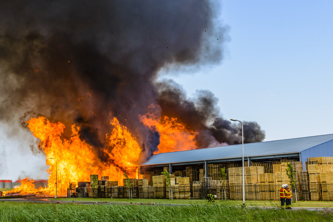 a9d7ba7b-6db2-4f5e-ac50-01e83f8141da