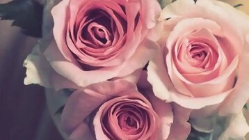 475f22da-40b6-40d3-987d-eb33b530639e