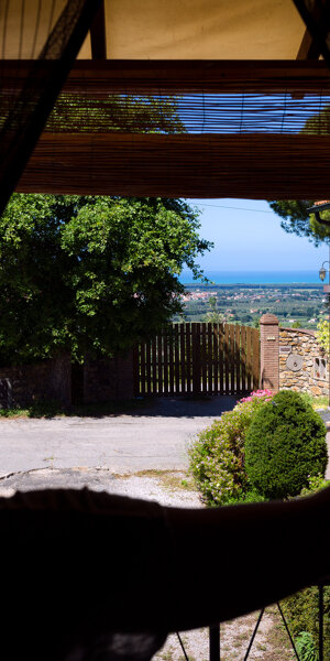 259a0faa-e334-46ae-a54a-7708c4ed3ae8