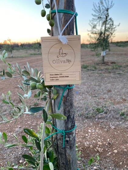 021050ef-2a15-4e25-abd3-aa56b551d683.jpeg 021050ef-2a15-4e25-abd3-aa56b551d683.jpeg