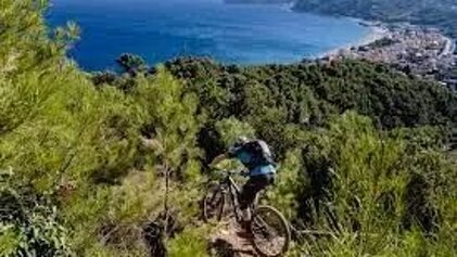 db402470-2d33-4e0b-a0fb-52b0979cb654