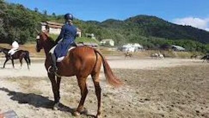 2430aa11-401f-40b1-b1e4-3970433b8a78