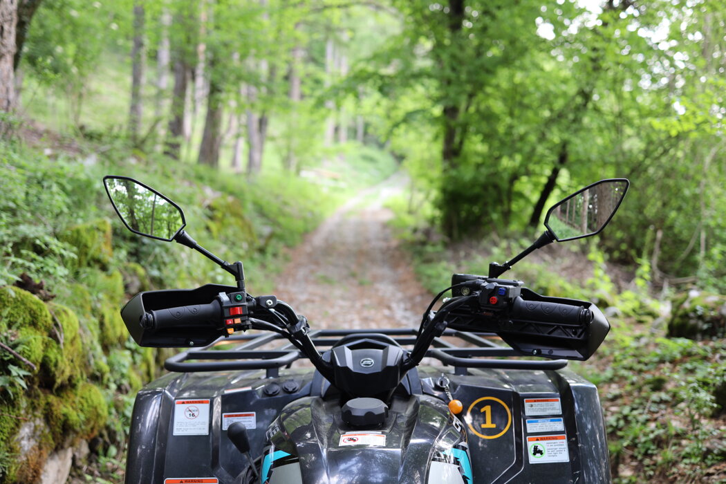 6dad33f6-7a06-4bf2-b6e7-f8cde0fb2c6c