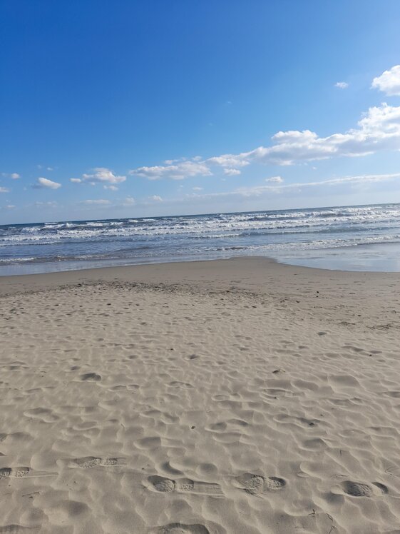 e0d70fd8-18e9-4201-ba21-479fe0c85d8e