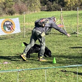 AOLS Abilità Olfattiva Ludico Sportiva