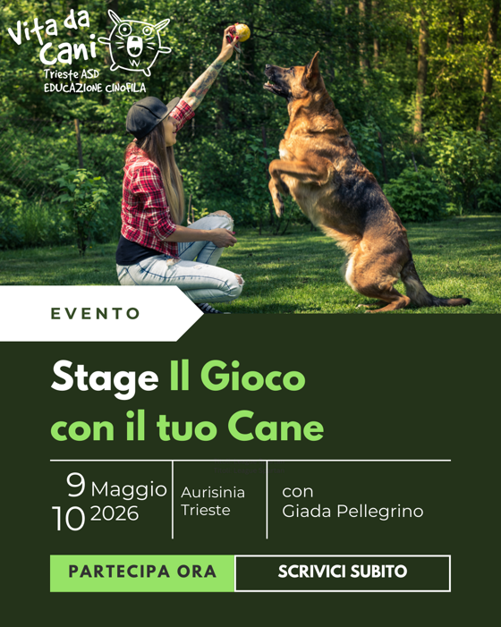 5f633781-2dc5-44b5-9998-9e91c00d7dc2