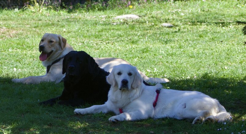 0910aa46-0e7c-48f2-9696-89dc75220db4