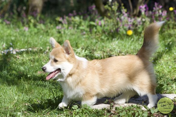 d53afc06-ae00-47fb-bdde-f2fb5dde4898