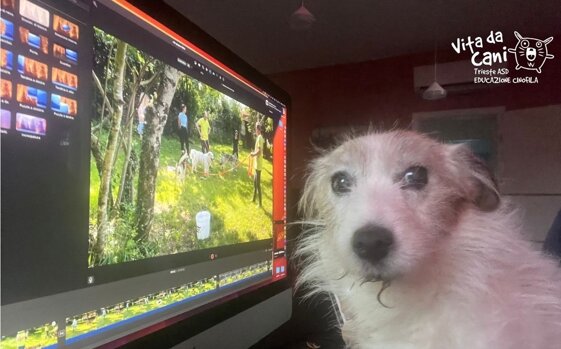 a580ab94-ada8-4d55-9d68-e7d86ef4ef0a