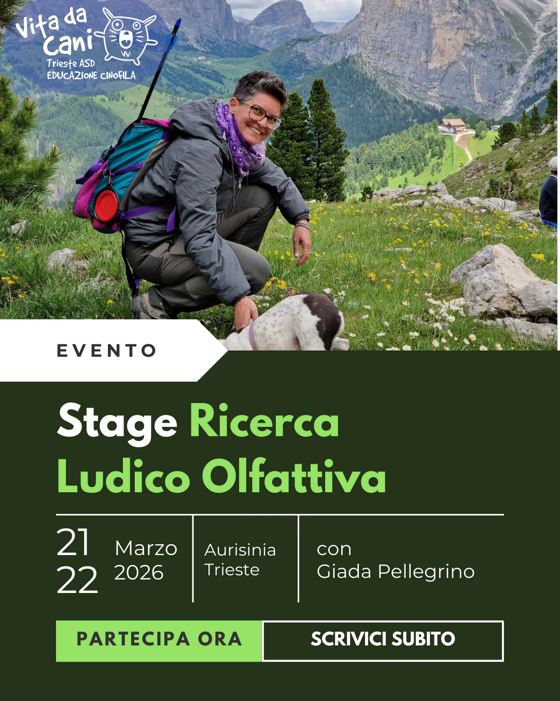 33536a79-55c7-48bc-9f2f-85d975cbbf5c