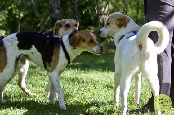 5ef901d4-99ed-449c-94a0-211e69777284