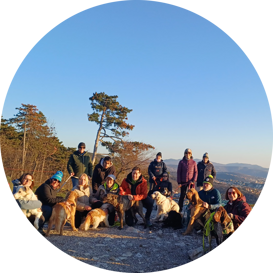 Prenotazioni attività