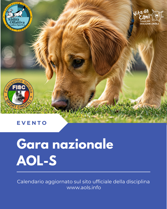 0996a845-9fdb-496d-ac48-b1d06f5e82fd