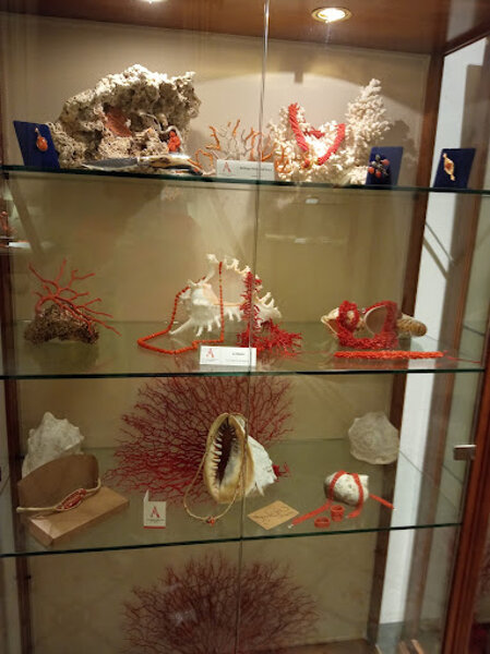 Museo del Corallo Museo del Corallo