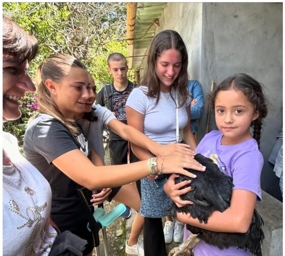 559dedc3-0310-4d72-89d1-4f04bb2342e1