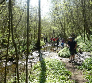 p1110834.jpeg