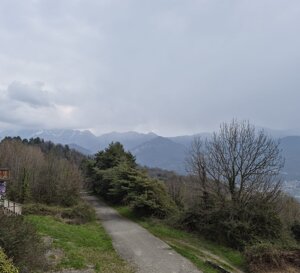 5d967a19-7894-429b-b6a3-48d74d92624e.jpeg 5d967a19-7894-429b-b6a3-48d74d92624e.jpeg