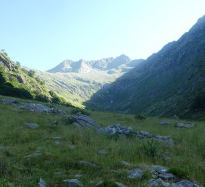 p1120191.jpeg