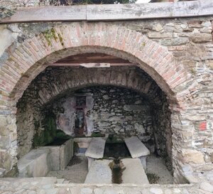 a5b9266b-e190-48a1-8b99-bfef7f911a19.jpeg a5b9266b-e190-48a1-8b99-bfef7f911a19.jpeg