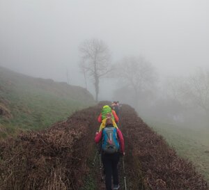 2c170375-f34b-4625-8383-c4332f07f389