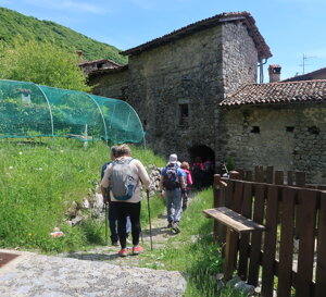 img_3470.jpeg