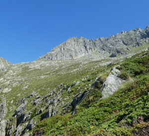 p1120158.jpeg