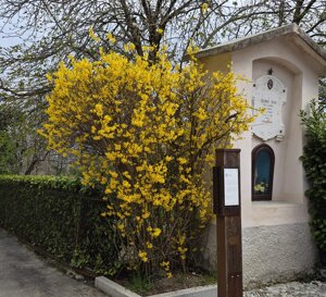 f5800ac3-fae2-4709-bde7-dc5f246ad0aa.jpeg f5800ac3-fae2-4709-bde7-dc5f246ad0aa.jpeg