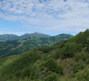 img_3485.jpeg