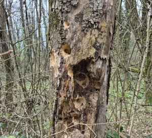 a4dc43bd-a6bc-4f41-8d47-7ba2093a9762.jpeg a4dc43bd-a6bc-4f41-8d47-7ba2093a9762.jpeg