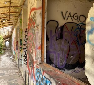 ae2adb69-01a3-4670-ae46-1a70ca760352.jpeg ae2adb69-01a3-4670-ae46-1a70ca760352.jpeg