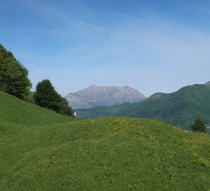 img_2905.jpeg