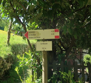 img_2885.jpeg