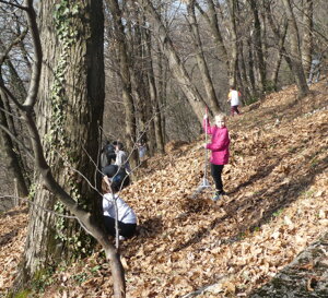 2c170375-f34b-4625-8383-c4332f07f389