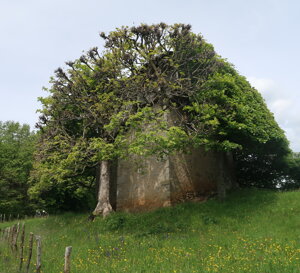 img_3492.jpeg