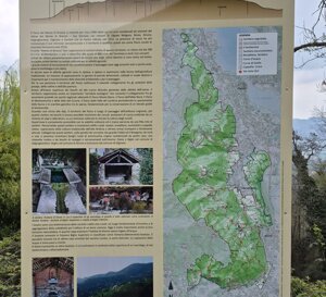 b737e221-3d52-40da-a9c0-a739a0a43336.jpeg b737e221-3d52-40da-a9c0-a739a0a43336.jpeg