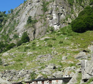 p1120154.jpeg